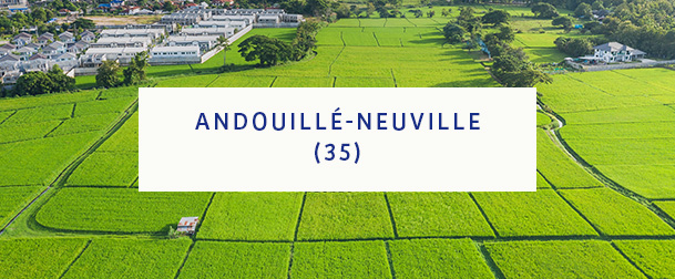 Andouille Neuville 35