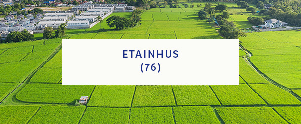 Ethainhus